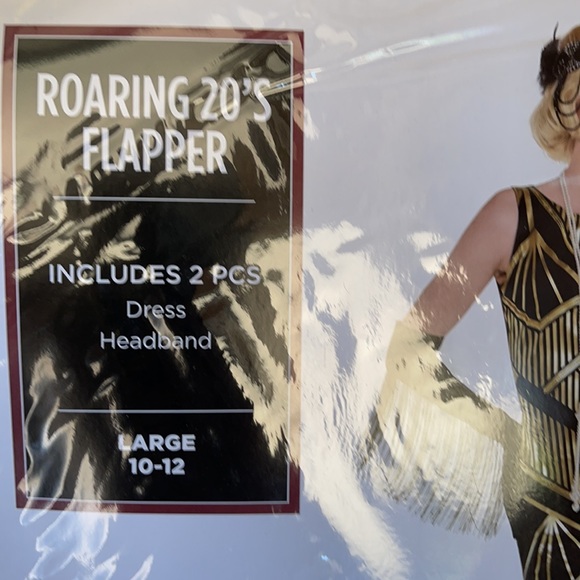 Roaring 20’s Flapper Adult Costume! New! - Picture 9 of 10
